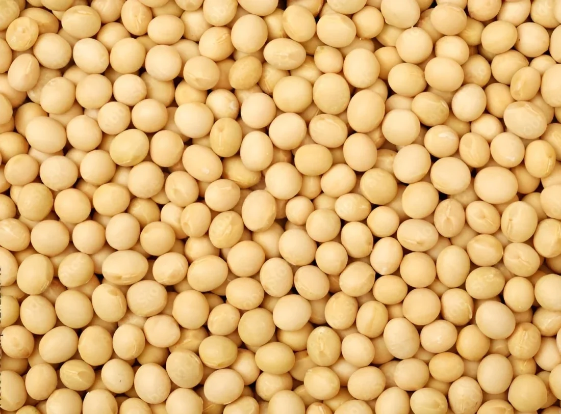 image_750x_657424c4e9af4-Picsart-AiImageEnhancer