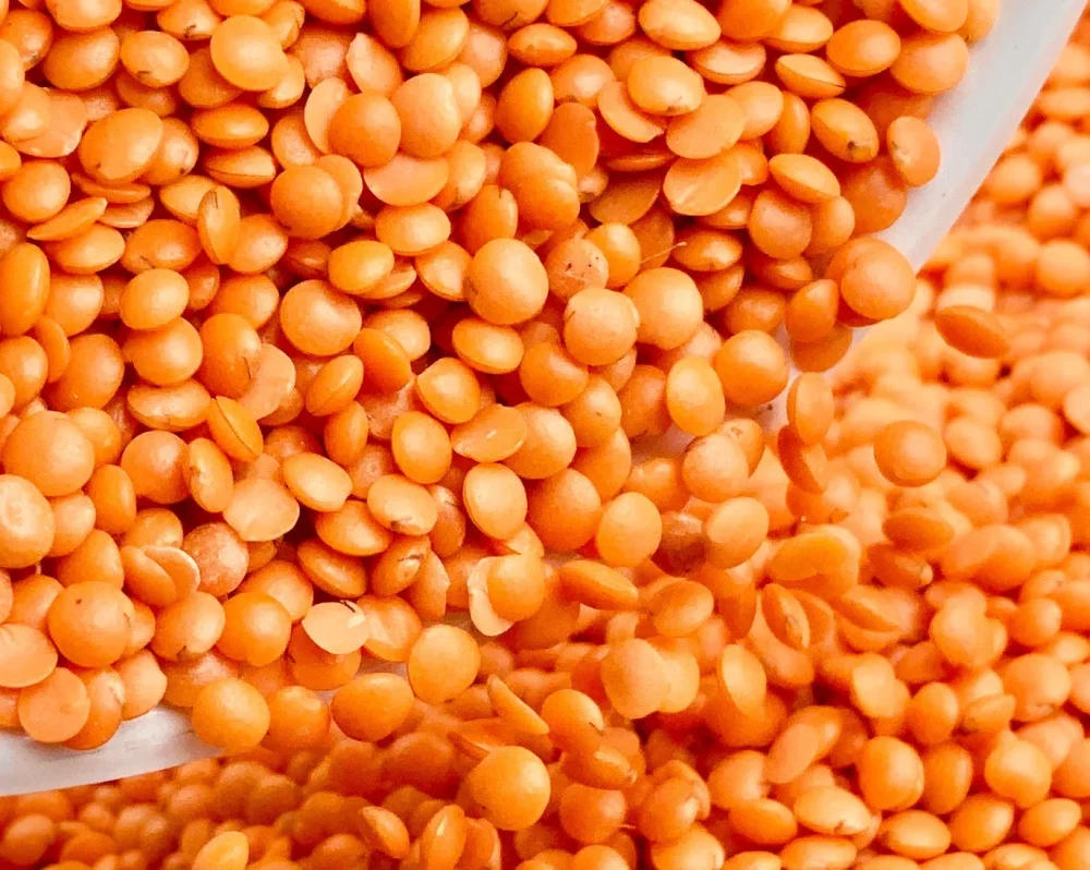 image_cc51f8bf-501f-4ae7-a546-3a579299ca9d_1024x1024@2x (1)